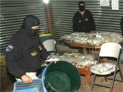 Bóng đá anh, ngoại hạng anh, lịch thi đấu euro 2012, Salvador phát hiện các thùng nhựa chứa đầy tiền